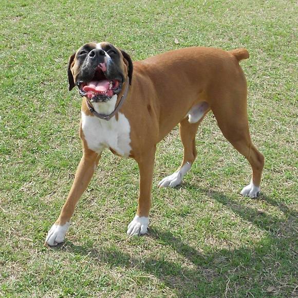 Meet your Posher, Suzanne - Picture 1 of 1